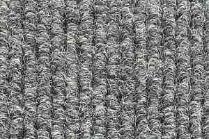 Грязезащитные покрытия Vebe Hercules Wb 25 фото  | FLOORDEALER